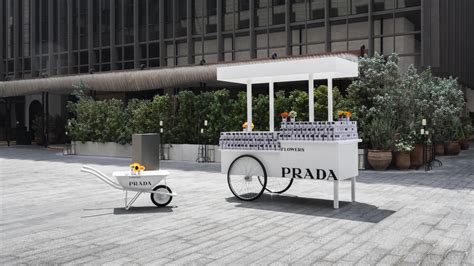 prada flower stand|Prada flower conversation campaign.